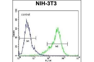 KI Antibody (C-term) (ABIN654471 and ABIN2844205) flow cytometric analysis of NIH-3T3 cells (right histogram) compared to a negative control cell (left histogram). (KIAA1609 antibody  (C-Term))