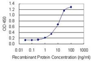 Detection limit for recombinant GST tagged NBEA is 0. (Neurobeachin antibody  (AA 1133-1220))