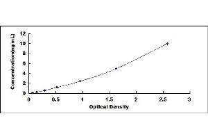 SLC40A1 ELISA Kit