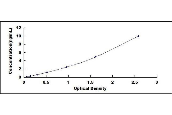 SLC40A1 ELISA Kit