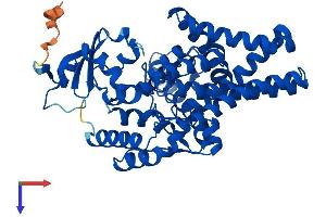 AlphaFold protein structure predicition of Human Recombinant FADS3 Protein, UniprotID Q9Y5Q0 (FADS3 Protein (AA 1-445) (His tag))