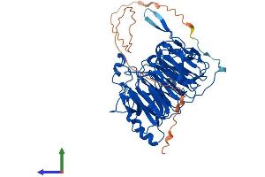 AlphaFold protein structure predicition of Human Recombinant RCC2 Protein, UniprotID Q9P258 (RCC2 Protein (AA 1-522) (His tag))