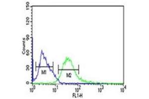 PHGDH antibody flow cytometric analysis of Ramos cells (green) compared to a negative control (blue). (PHGDH antibody  (AA 249-277))