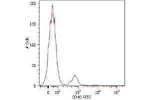 Surface staining of human peripheral blood cells with anti-human CD40 (HI40a) FITC. (CD40 antibody)