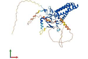 AlphaFold protein structure predicition of Human Recombinant ZDHHC14 Protein, UniprotID Q8IZN3 (ZDHHC14 Protein (AA 1-488) (His tag))