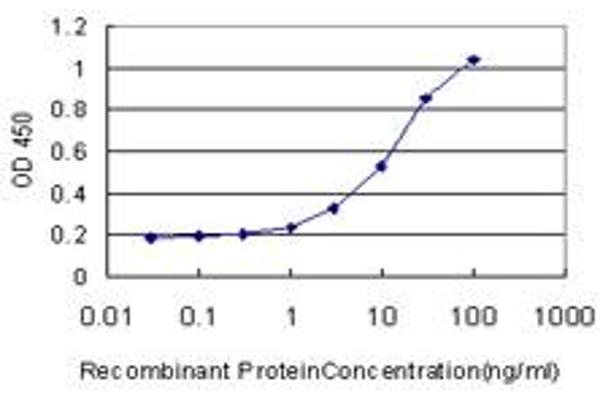 XRCC6BP1 antibody  (AA 152-246)