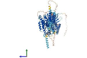 AlphaFold protein structure predicition of Mouse Recombinant Inpp4b Protein, UniprotID Q6P1Y8