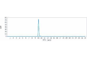 anti-Poliovirus Receptor-Related Immunoglobulin Domain Containing (PVRIG) antibody
