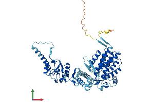 Protein Structure (PS) image for Chaperonin Containing TCP1, Subunit 3 (Gamma) (CCT3) (AA 1-545) protein (His tag) (ABIN7556741)