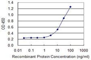 Detection limit for recombinant GST tagged AK2 is 1 ng/ml as a capture antibody. (Adenylate Kinase 2 antibody  (AA 1-239))