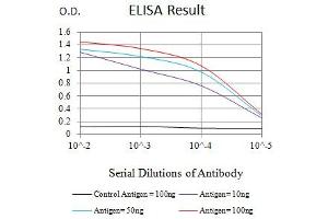 Black line: Control Antigen (100 ng),Purple line: Antigen (10 ng), Blue line: Antigen (50 ng), Red line:Antigen (100 ng) (SDHB antibody  (AA 29-280))
