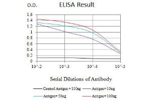 Black line: Control Antigen (100 ng),Purple line: Antigen (10 ng), Blue line: Antigen (50 ng), Red line:Antigen (100 ng) (SDHB antibody  (AA 29-280))