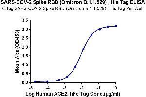 SARS-CoV-2 Spike Protein (B.1.1.529 - Omicron, RBD) (His tag)