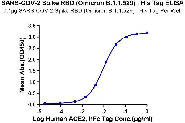 SARS-CoV-2 Spike Protein (B.1.1.529 - Omicron, RBD) (His tag)