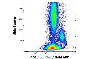 Flow cytometry surface staining pattern of human peripheral whole blood stained using anti-human CD1d (51. (CD1d antibody)