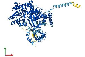 AlphaFold protein structure predicition of Mouse Recombinant Acsl5 Protein, UniprotID Q8JZR0 (ACSL5 Protein (AA 1-683) (His tag))
