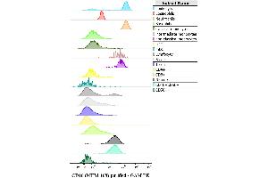 Expression profiling on peripheral blood subsets using anti-human CD16 purified antibody (clone MEM-168). (CD16 antibody)