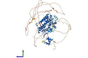 AlphaFold protein structure predicition of Human Recombinant CBL Protein, UniprotID P22681 (CBL Protein (AA 1-906) (His tag))