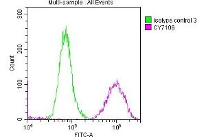 Overlay histogram showing A549 cells stained with ABIN7127602 (red line) at 1:50. (Recombinant LOXL2 antibody)