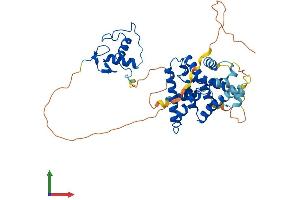 Protein Structure (PS) image for Nuclear Receptor Subfamily 2, Group F, Member 2 (NR2F2) (AA 1-414) protein (His tag) (ABIN7563255)