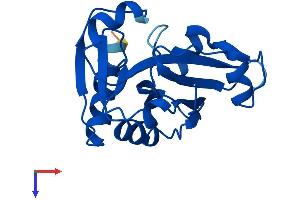 AlphaFold protein structure predicition of Mouse Recombinant Prorsd1 Protein, UniprotID Q9D820 (PRORSD1 Protein (AA 1-169) (His tag))