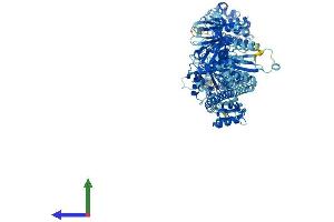 AlphaFold protein structure predicition of Human Recombinant MYO1G Protein, UniprotID B0I1T2 (MYO1G Protein (AA 1-1018) (His tag))