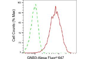 Flow cytometric analysis of GNB3 expression in HepG2 cells using GNB3 antibody (ABIN7798820), 1:2,000). (Recombinant GNB3 antibody)