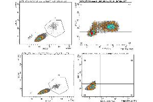 Anti-Human IL-6 Antibody - Flow Cytometry Human PBMCs were stimulated with 1ug/mL LPS and a transport inhibitor for 4-5 hours. (IL-6 antibody)