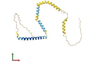 AlphaFold protein structure predicition of Mouse Recombinant Tpd52l2 Protein, UniprotID Q9CYZ2 (TPD52L2 Protein (AA 1-220) (His tag))