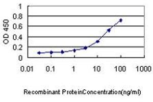 Detection limit for recombinant GST tagged KHK is approximately 0. (Ketohexokinase antibody  (AA 1-298))