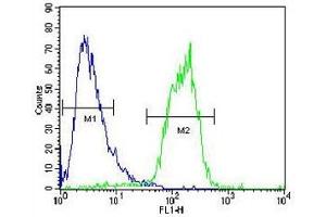 ACOT11 antibody flow cytometric analysis of human HepG2 cells (right histogram) compared to a negative control (left histogram). (ACOT11 antibody  (AA 549-575))