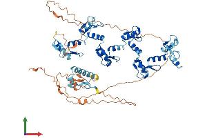 Protein Structure (PS) image for Zinc Finger Protein 343 (ZNF343) (AA 1-599) protein (His tag) (ABIN7545265)
