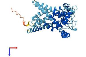 AlphaFold protein structure predicition of Mouse Recombinant Slc25a34 Protein, UniprotID A2ADF7 (SLC25A34 Protein (AA 1-318) (His tag))