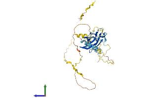 Protein Structure (PS) image for Protein Phosphatase 1, Regulatory Subunit 8 (PPP1R8) (AA 1-351) protein (His tag) (ABIN7559731)