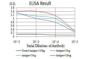 Black line: Control Antigen (100 ng),Purple line: Antigen (10 ng), Blue line: Antigen (50 ng), Red line:Antigen (100 ng) (ATL1 antibody  (AA 1-100))