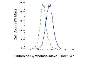 Validation of Glutamate-ammonia ligase knockdown using flow cytometry. (Recombinant GLUL antibody)