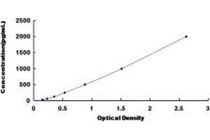 Typical standard curve (CLCF1 ELISA Kit)