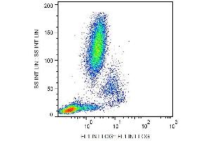 Surface staining of human peripheral blood cells with anti-CD11c (BU15) FITC. (CD11c antibody  (FITC))