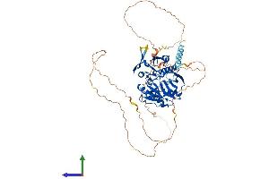 AlphaFold protein structure predicition of Human Recombinant SYN3 Protein, UniprotID O14994 (Synapsin III Protein (SYN3) (AA 1-580) (His tag))