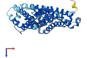 AlphaFold protein structure predicition of Mouse Recombinant Tm6sf1 Protein, UniprotID P58749 (TM6SF1 Protein (AA 1-370) (His tag))