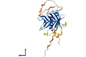 AlphaFold protein structure predicition of Mouse Recombinant Plscr3 Protein, UniprotID Q9JIZ9