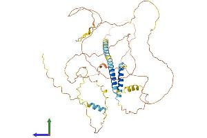 Protein Structure (PS) image for Transmembrane Protein 200A (TMEM200A) (AA 1-491) protein (His tag) (ABIN7544099)