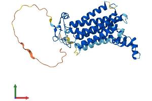 AlphaFold protein structure predicition of Mouse Recombinant Paqr9 Protein, UniprotID Q6TCG2 (PAQR9 Protein (AA 1-375) (His tag))