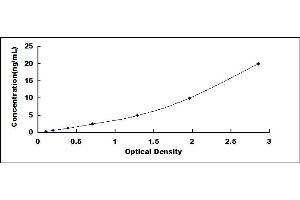 Typical standard curve (DLG4 ELISA Kit)