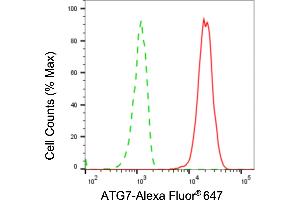 Flow cytometric analysis of ATG7 expression in HepG2 cells using ATG7 antibody (ABIN7797675), 1:2,000). (Recombinant ATG7 antibody)