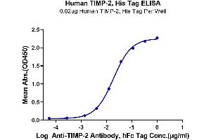 ELISA image for Metalloproteinase Inhibitor 2 (TIMP2) (AA 27-220) protein (His tag) (ABIN7275737)