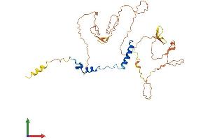 Protein Structure (PS) image for Nuclear Transcription Factor Y, alpha (NFYA) (AA 1-346) protein (His tag) (ABIN7562982)