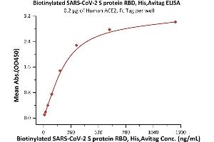 Immobilized Human ACE2, Fc Tag (ABIN6952459,ABIN6952465) at 2 μg/mL (100 μL/well) can bind Biotinylated SARS-CoV-2 S protein RBD, His,Avitag (ABIN6973229) with a linear range of 10-313 ng/mL (QC tested).