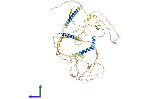 AlphaFold protein structure predicition of Mouse Recombinant Slain1 Protein, UniprotID Q68FF7 (SLAIN1 Protein (AA 1-579) (His tag))