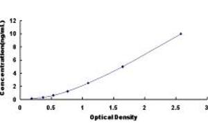 Typical standard curve (TCN2 ELISA Kit)